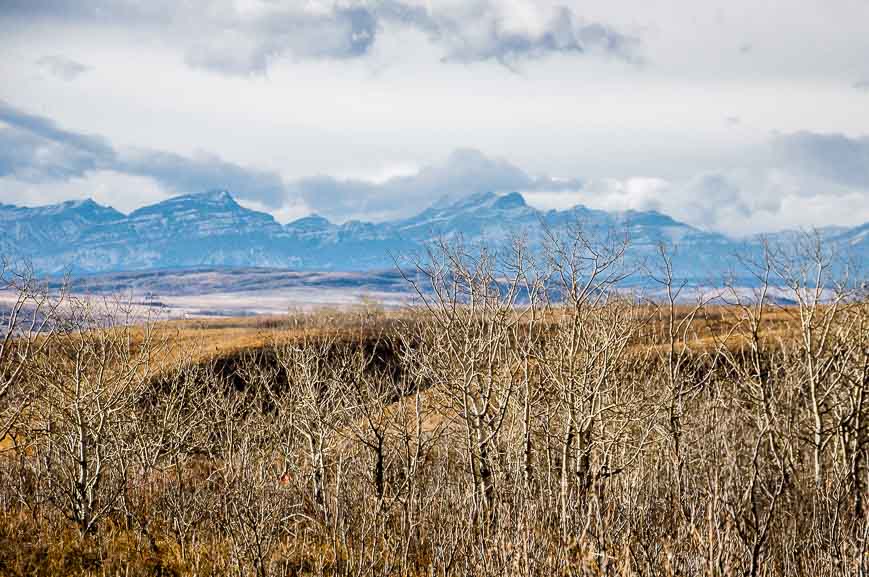 Great Rocky Mountain views no matter what the season