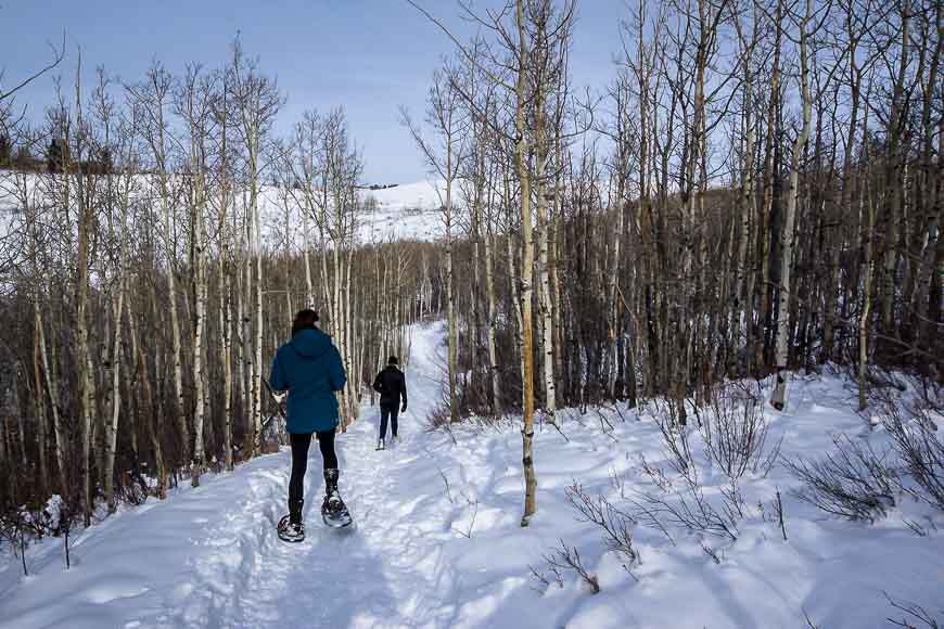 Snowshoeing