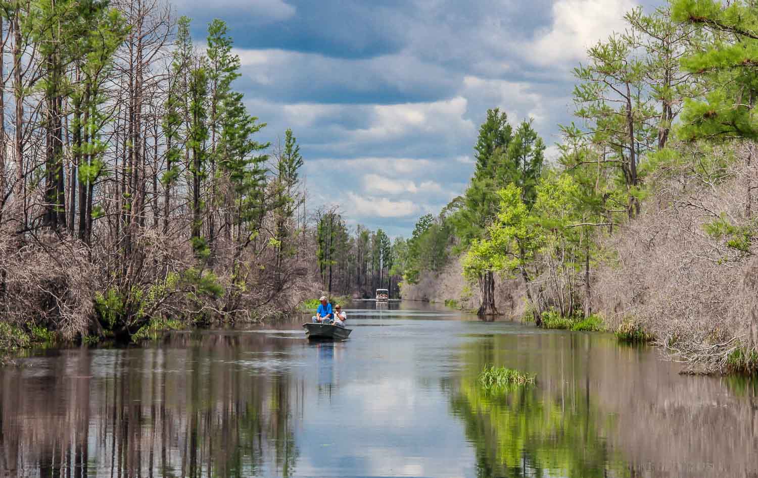 A One Day Visit to Okefenokee Swamp in Georgia - Hike Bike Travel