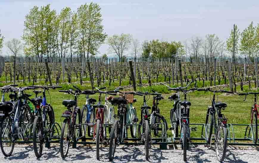 Bikes pulled in for a pit stop at Pelee Island Winery