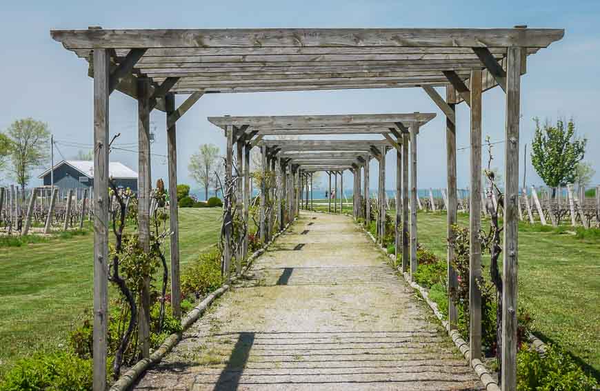 Looking out to Lake Erie from the winery