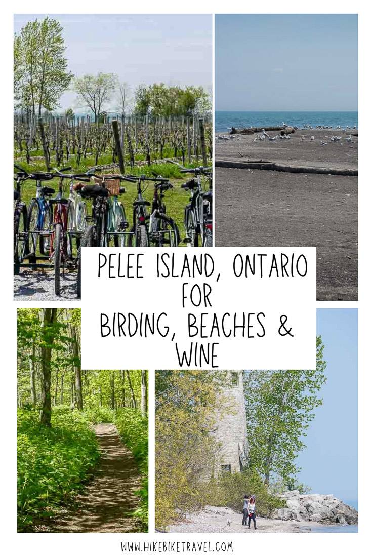 Pelee Island, Ontario for birding, beaches & wine