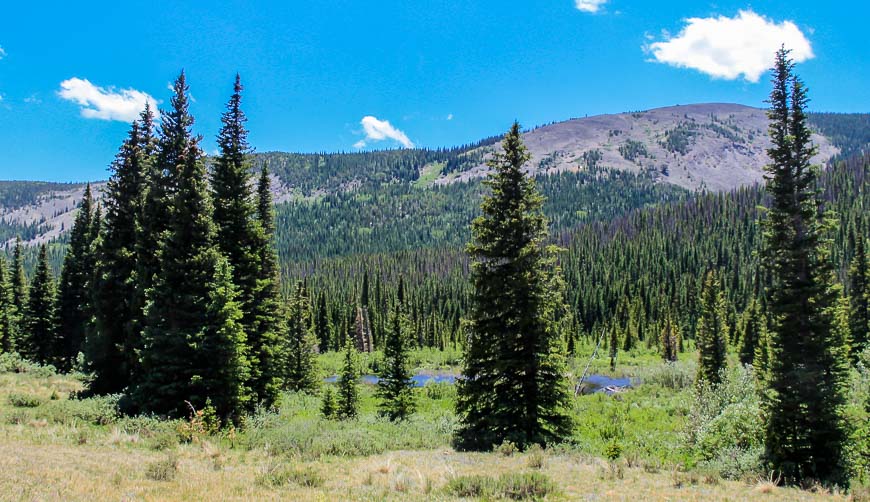 This pond is a welcome sight on a hot summer's day