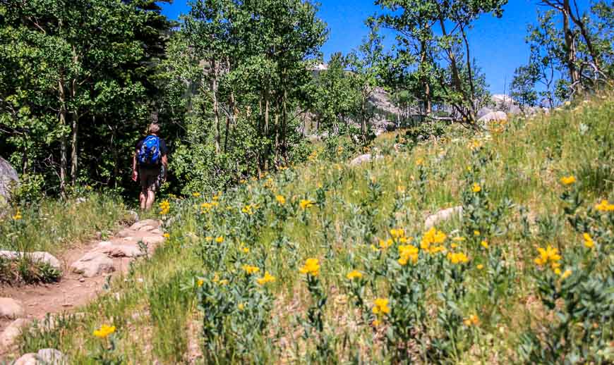 Hiking on the Devils Thumb Bypass trail through wildflowers