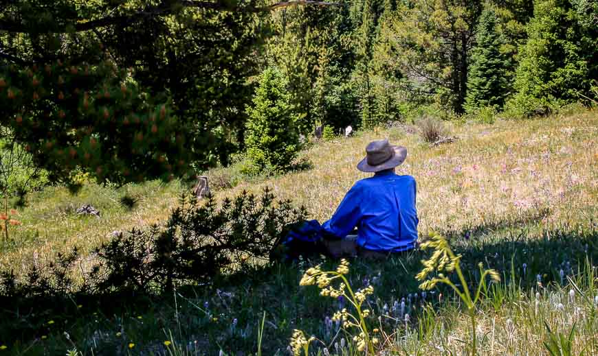 A fellow hiker enjoying the view and the shade (89 F that day)