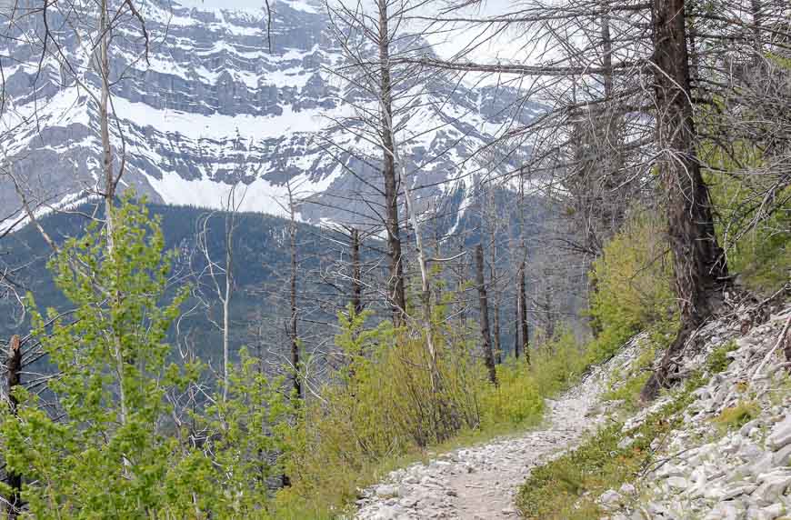 Great views of Cascade Mountain