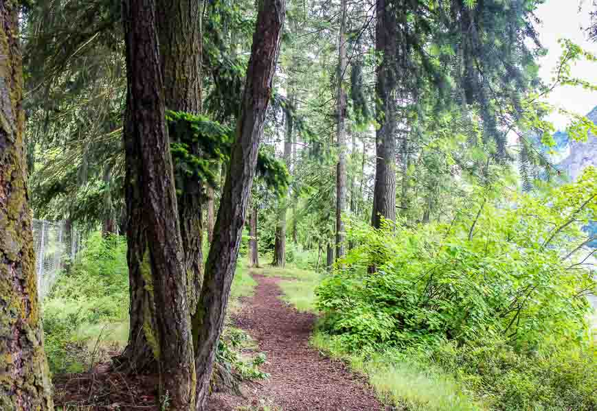 A nature walk from the houseboat on Shuswap Lake