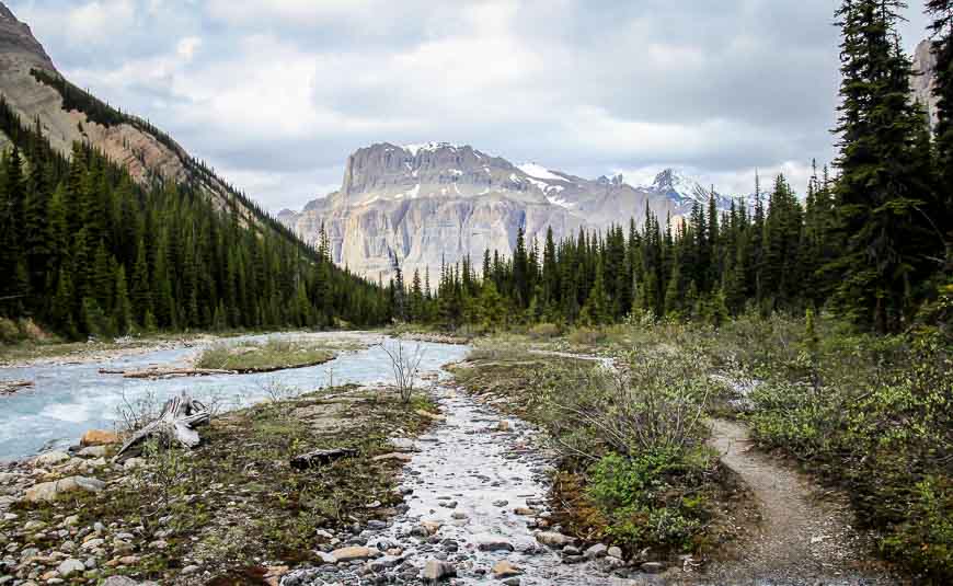 The trail along the river's edge back to camp