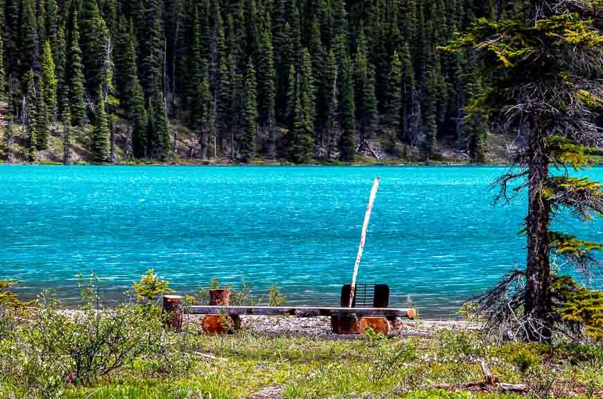 A bench with a view at the Coronet Creek Campground