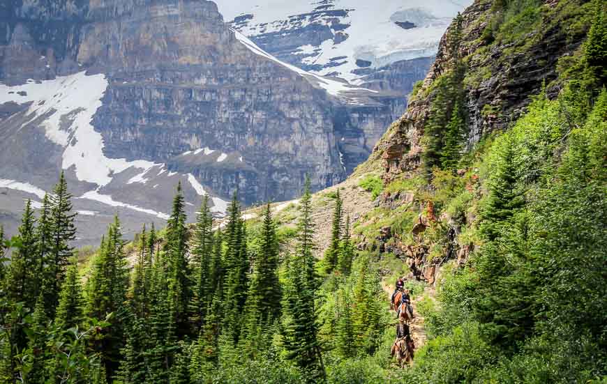 You can visit the Plain of Six Glaciers Teahouse via horseback