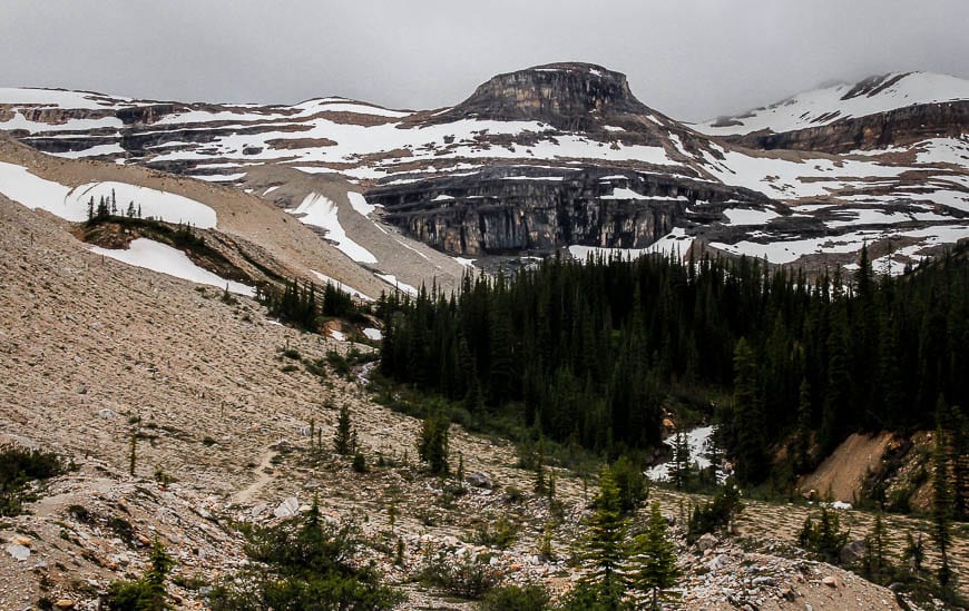 The President Range Hiking Trails in Yoho National Park