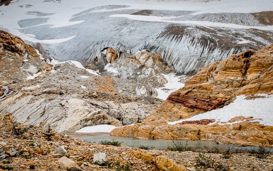 The President Range Hiking Trails in Yoho National Park