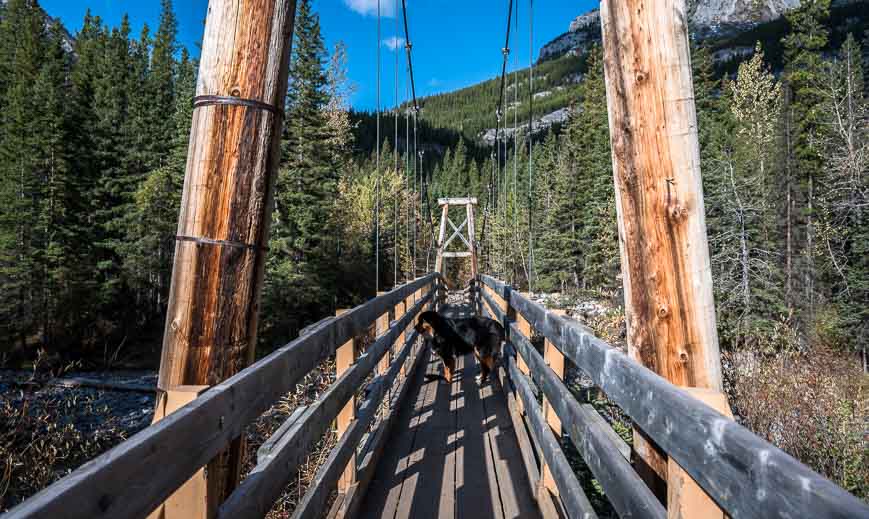 Start the Guinn Pass hike by crossing over the Kananaskis River