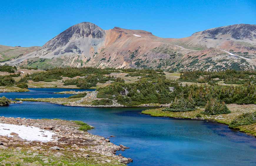 Favourite one day hikes in British Columbia - the Rainbow Range