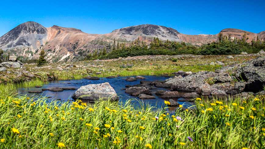 Hiking in Tweedsmuir Provincial Park