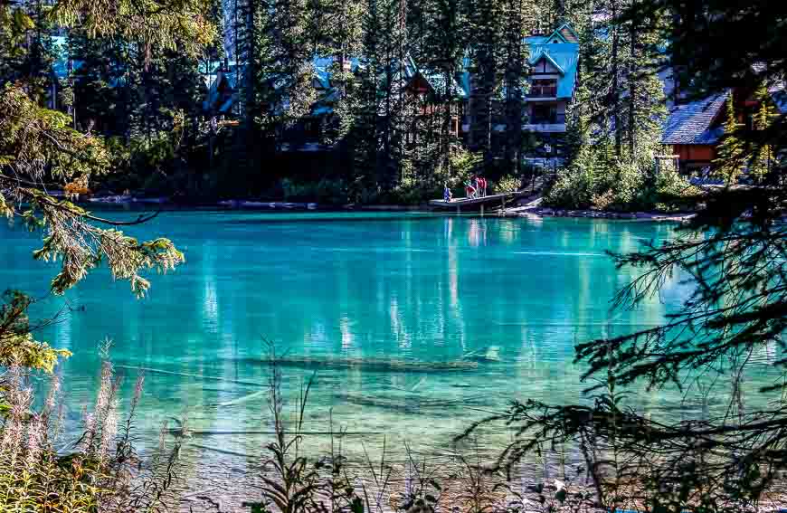 Looking through the trees to the cabins at Emerald Lake Lodge