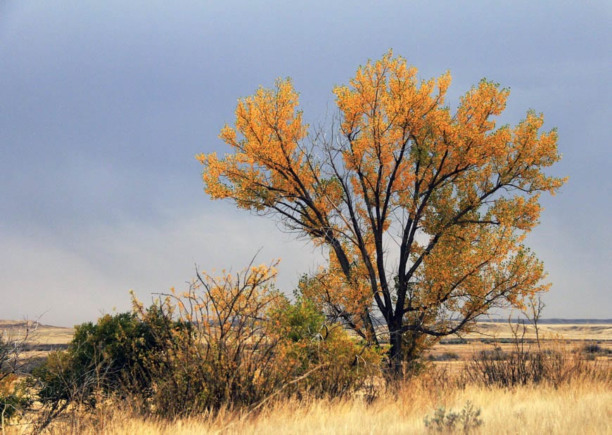 16 of the Best Fall Adventures & Activities in Canada