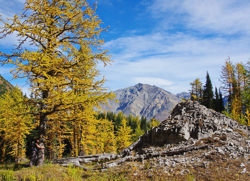 16 of the Best Fall Adventures & Activities in Canada