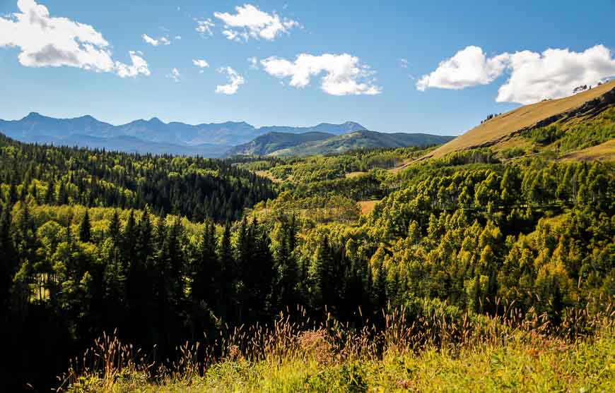 Fall is a glorious time to cycle the Sheep River Valley