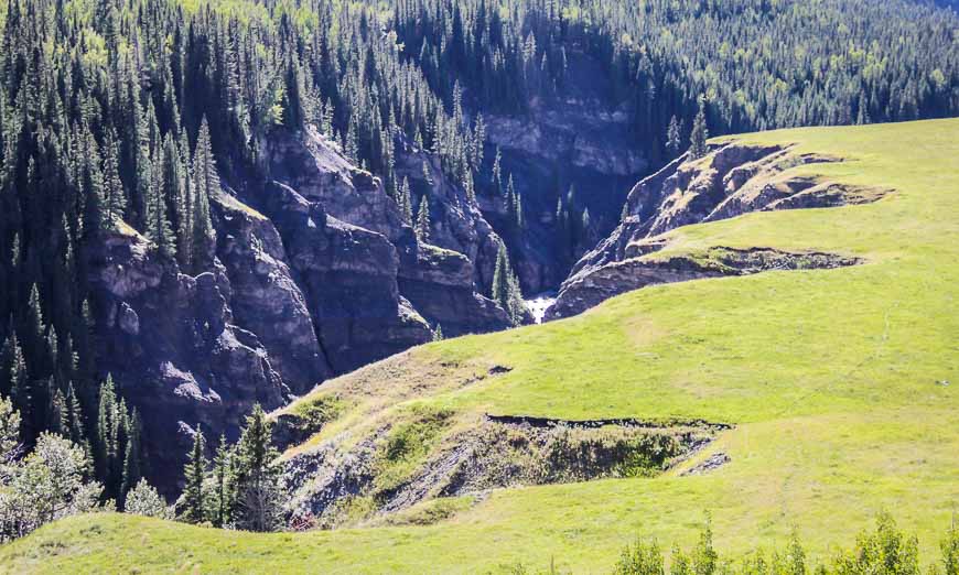 Bighorn sheep like this area