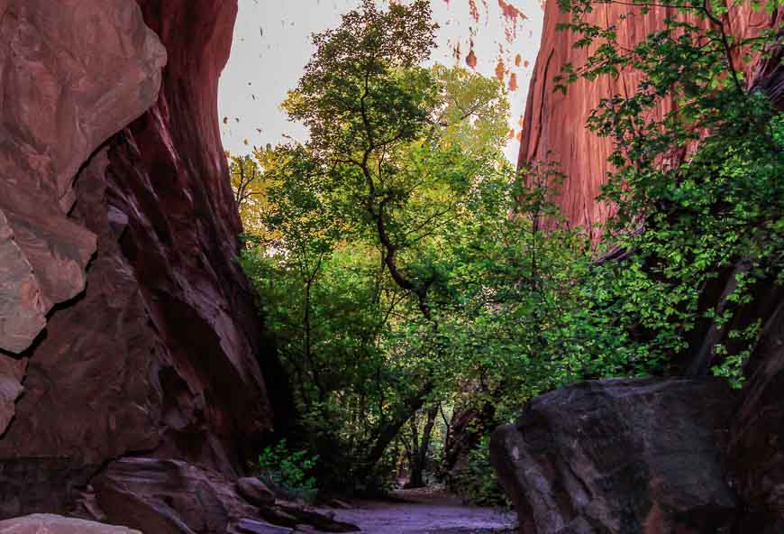 A slot canyon along the trail