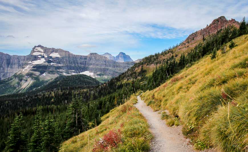 Looking back at the trail in the direction of Cameron Lake