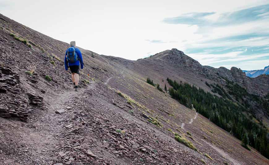 John heading for the crest of the Carthew Alderson Trail