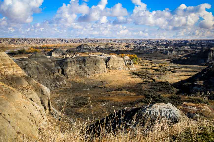 First view from the road into Dinosaur Provincial Park