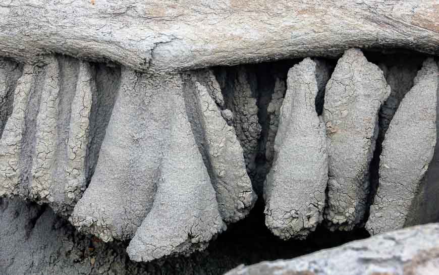 Rocks that look like teeth