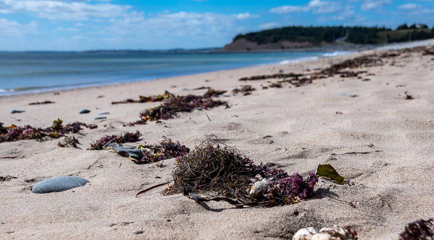 There are loads of beaches within an hour's drive of downtown Halifax