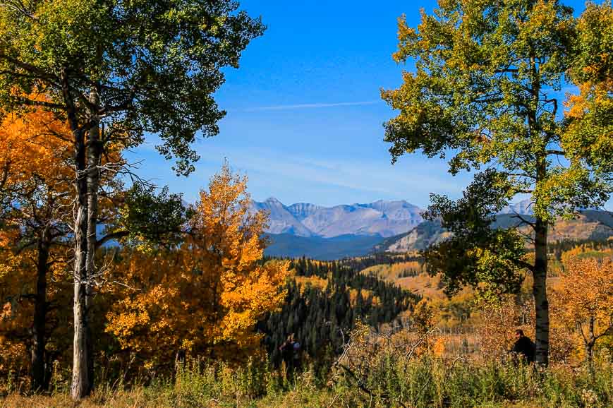 The Sheep River Valley in fall is gorgeous