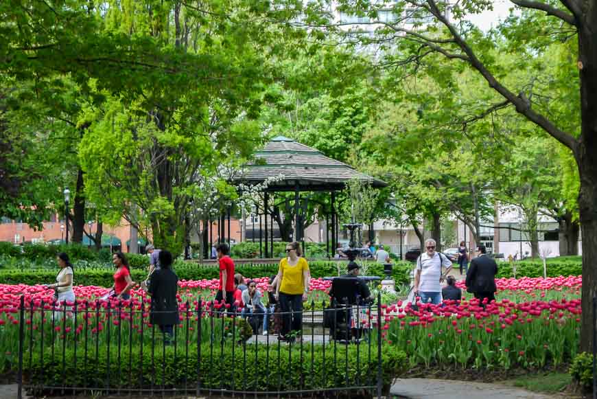 Loads of public parks in Toronto