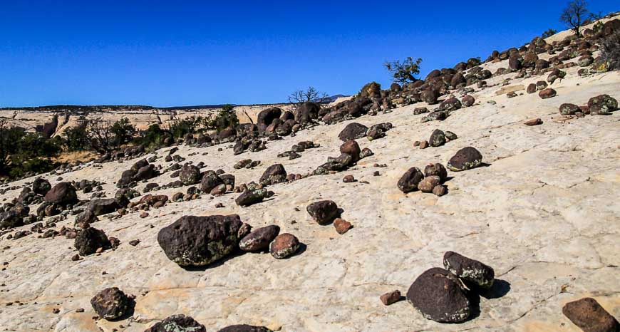 Black, volcanic boulders strewn over the sandstone