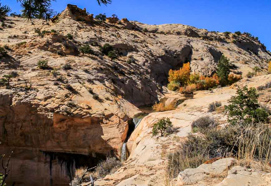 The first view of Upper Calf Creek Falls