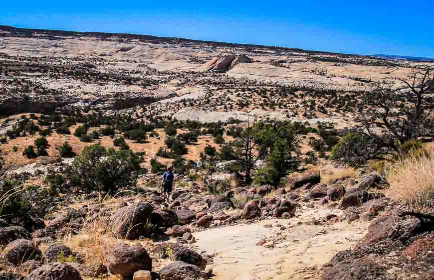 The initial steep descent on Navajo sandstone