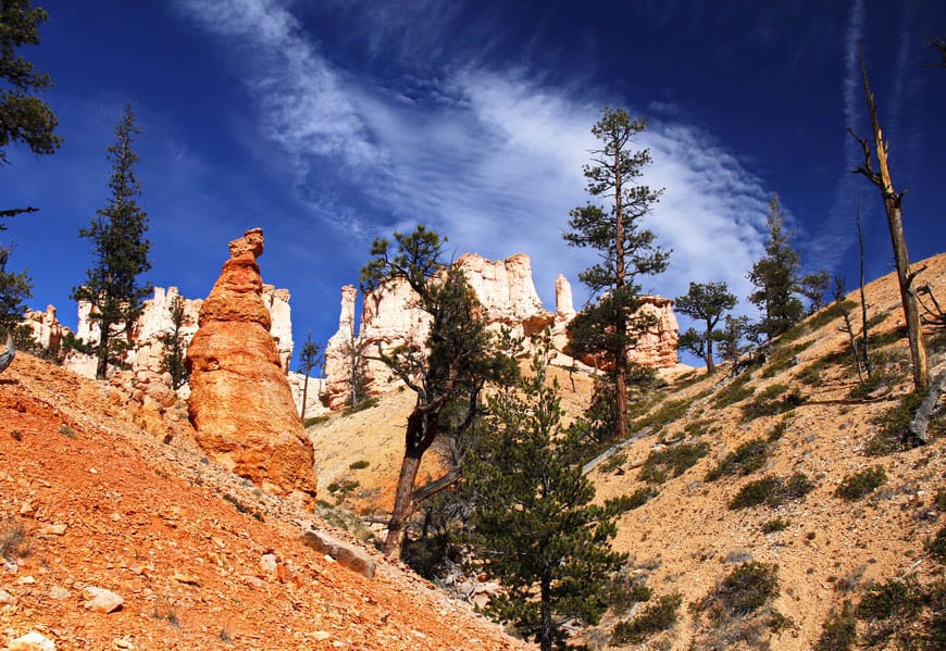 The colour wheel at work here creating a stunning landscape in Bryce Canyon