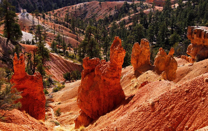 Rocks look like they are on fire