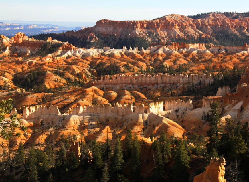 Hoodoos galore on the Fairyland Loop