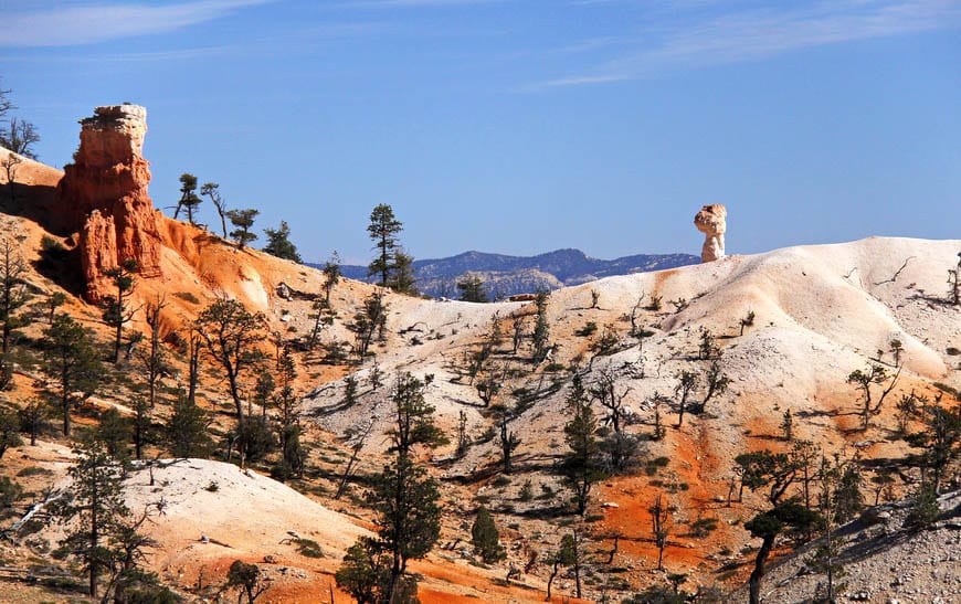 The stunted vegetation and white rock adds a lot of drama