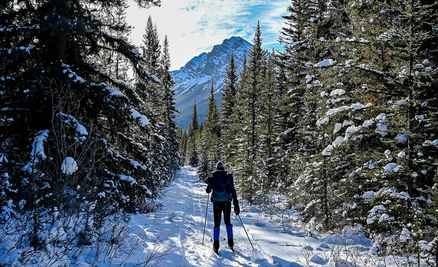 Pretty skiing on a side trail to the Stoney Creek cabin