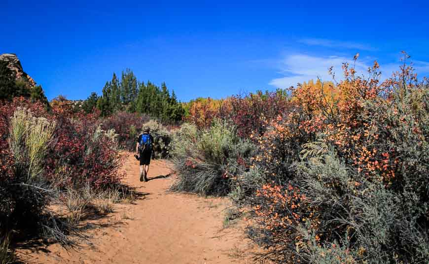 Sandy walking near the start and end of the Deer Creek Trail