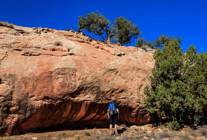 John looking for and finding petroglyphs