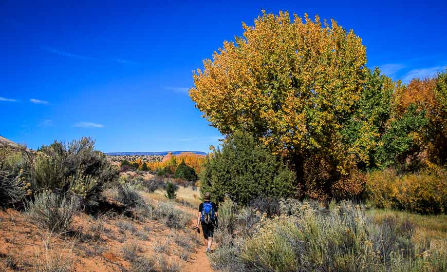 Fall is a great time to hike the trail