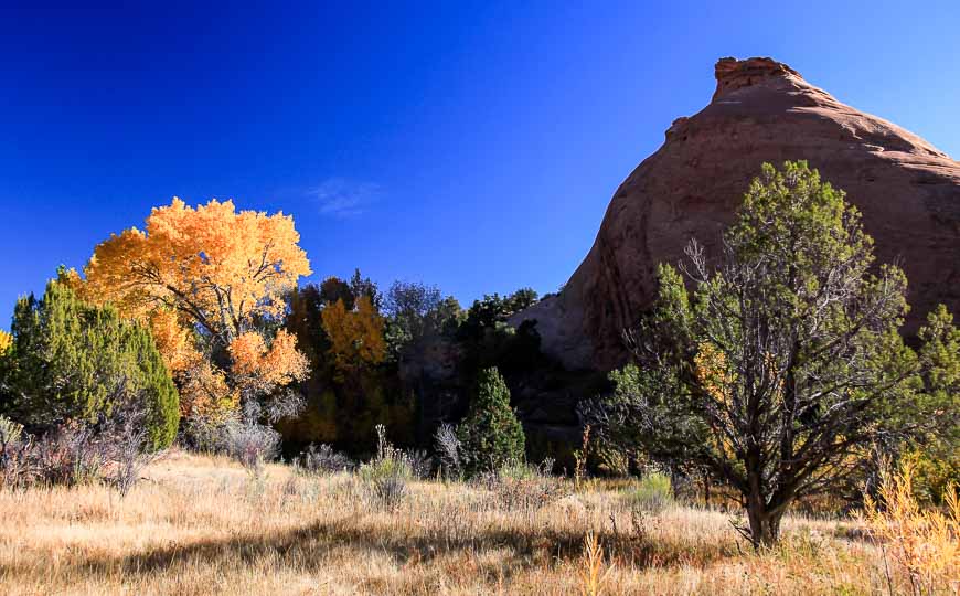 Fantastic show of fall colours early on the trail