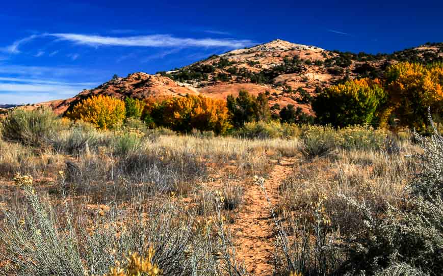 Pretty sweet start to the Deer Creek Trail hike