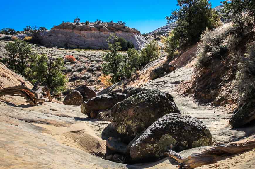 Crossing a dry wash on the Deer Creek Trail in the Escalante Wilderness