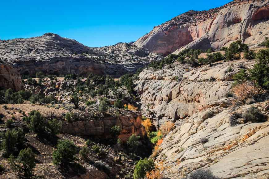 The canyon walls get really big