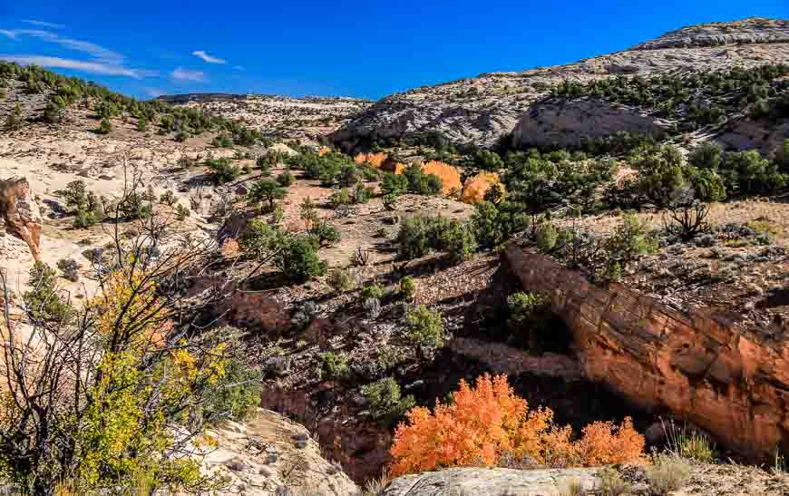 Looking down into the colourful canyon