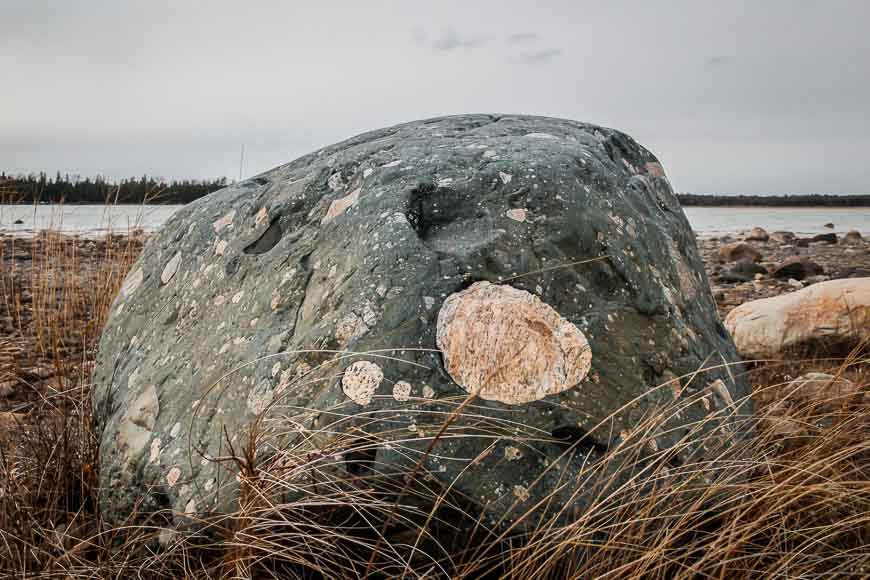 Interesting large boulder along the shore of Misery Bay Manitoulin Island