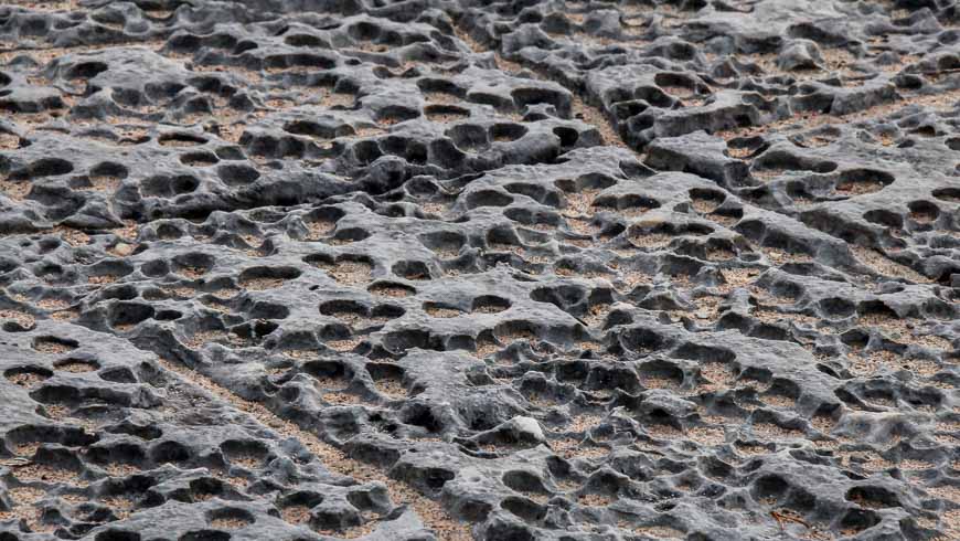 Eroded rock at Misery Bay is easy to walk on